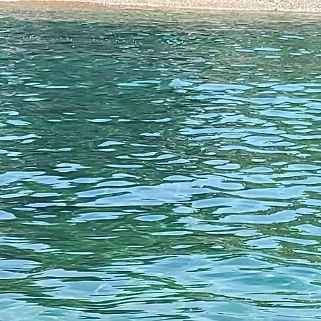 Toro Loco Piombino